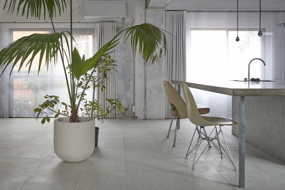 Необычные интерьеры офисов