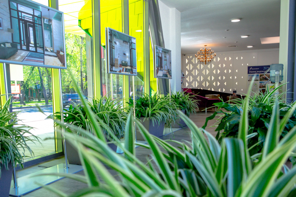 Офис продаж Древо