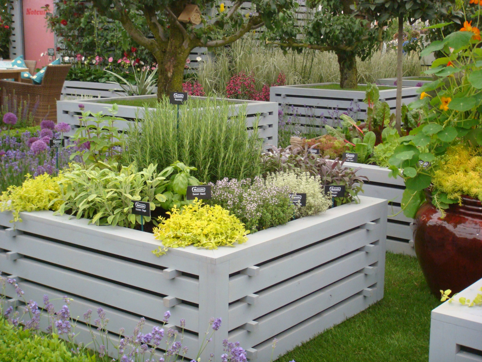 Овощные клумбы и декоративные огороды