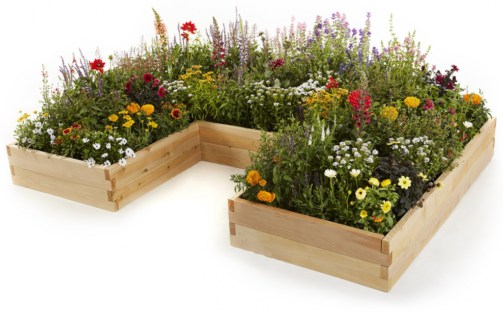 Цветочные грядки