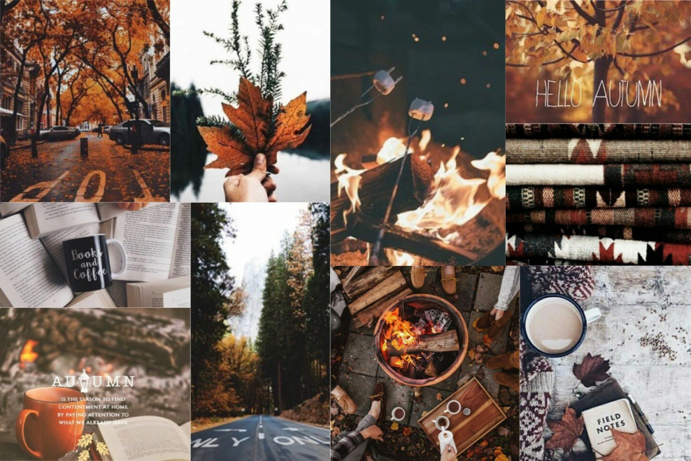 Обои на осень эстетика (57 фото) - красивые картинки и HD фото