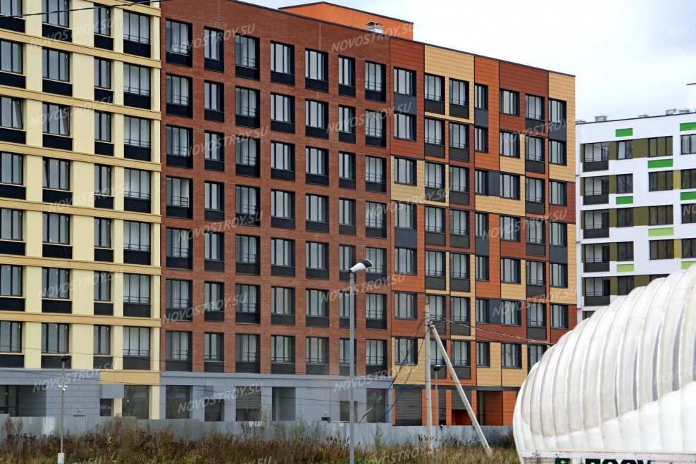 Московская область Микрогород в лесу