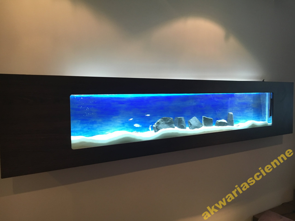 Плоский аквариум на стену