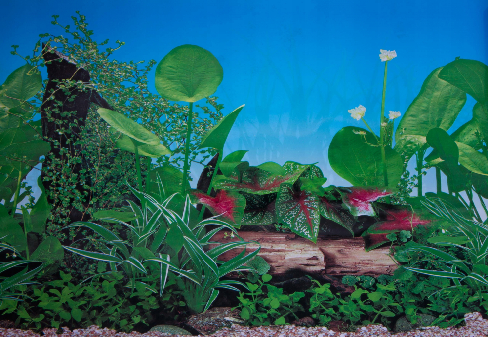 Аквариум BIORB Cube 30