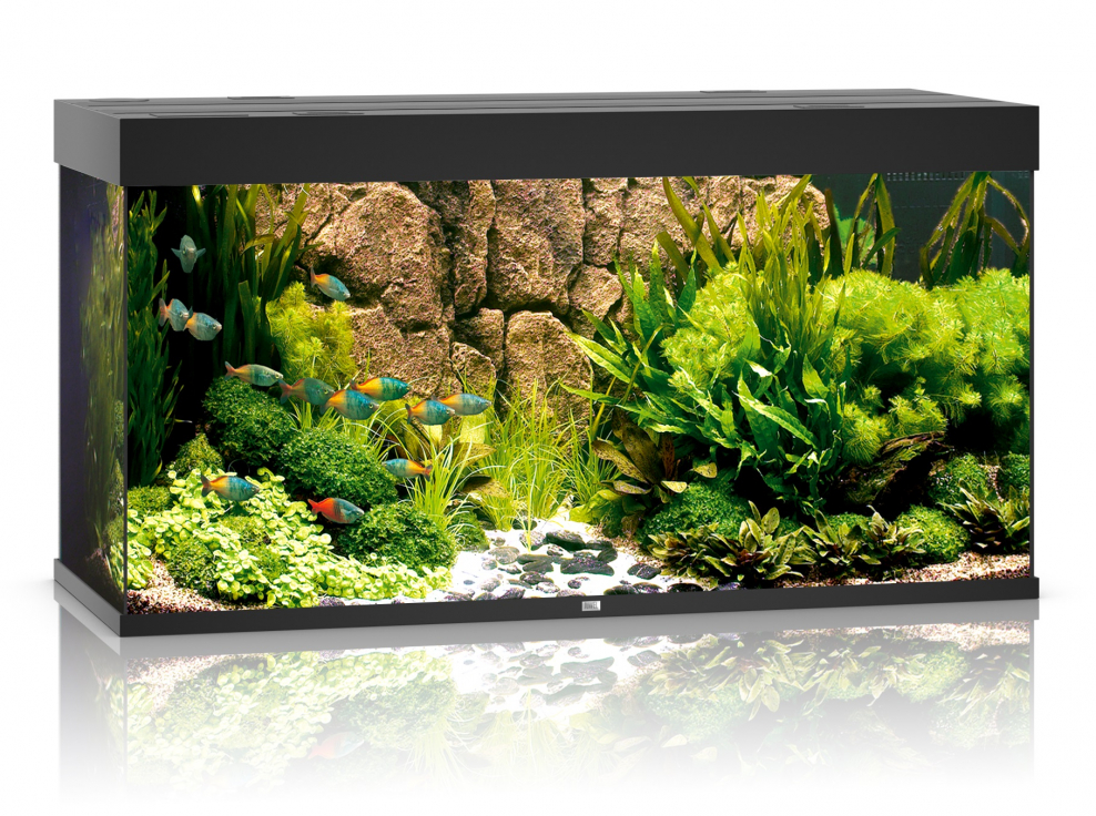 Аквариум BIORB Decor