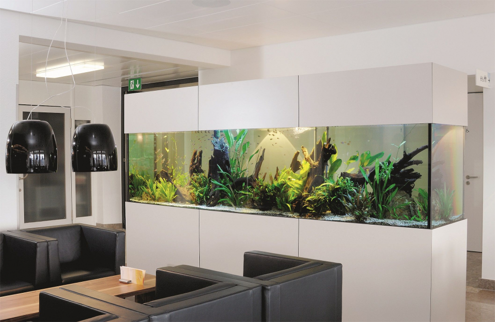 Аквариум плоский настенный