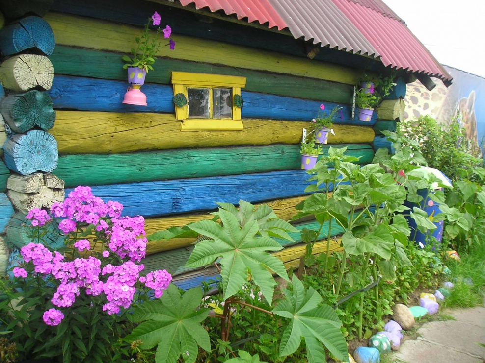 Цветы на даче в деревне