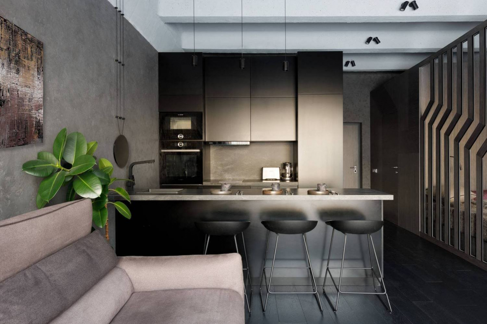 Кухня студия в мужском стиле