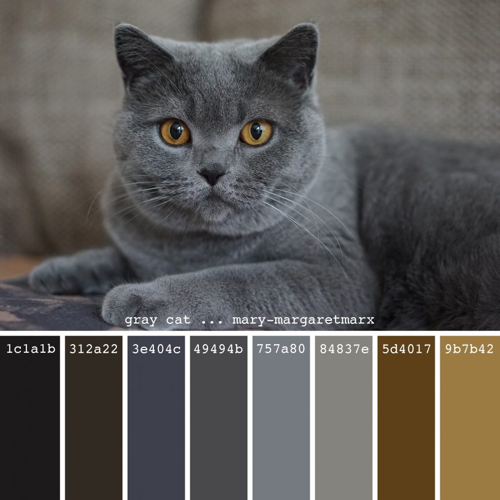 Серый цвет Смик палитра