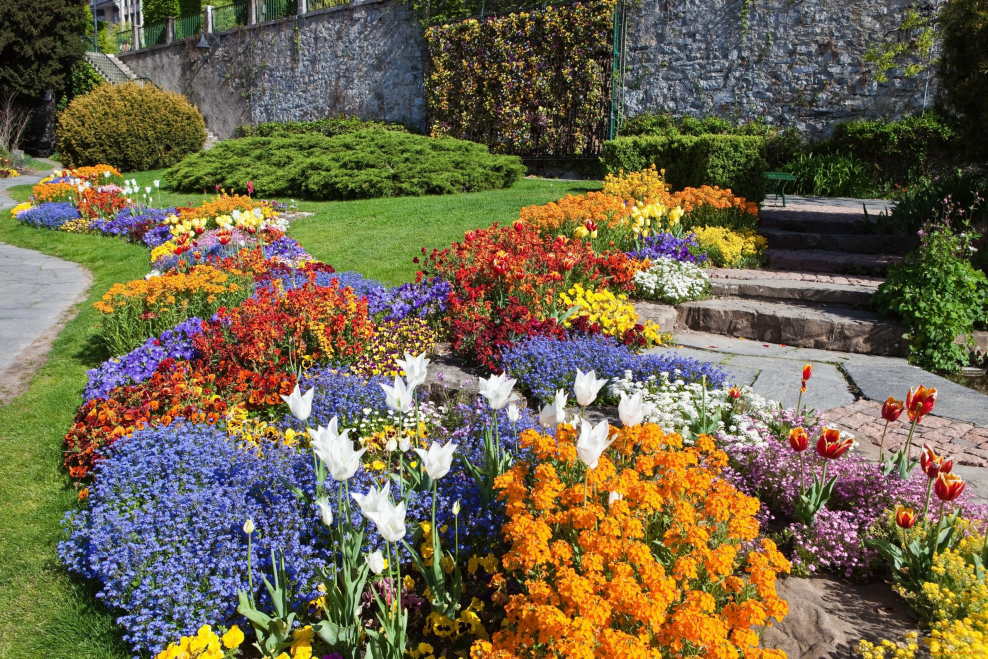 Бергамо цветники