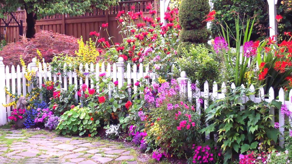 Цветы в садах и палисадниках