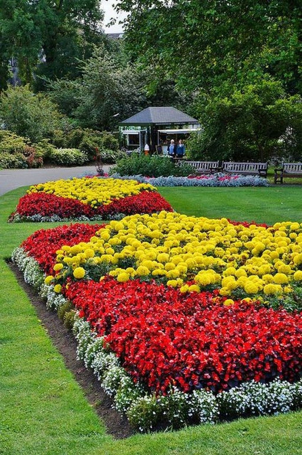 Однолетники для клумбы