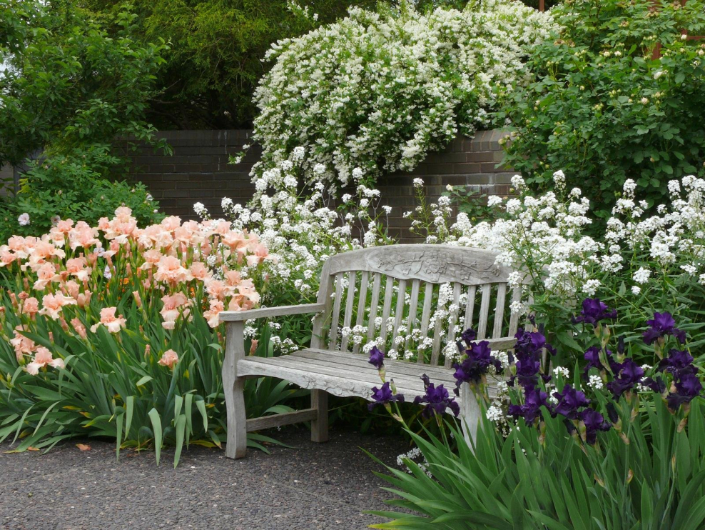 Миксбордер со скамейкой