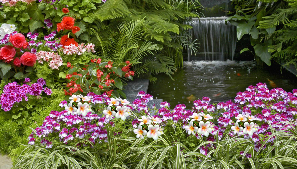 Водопад цветы