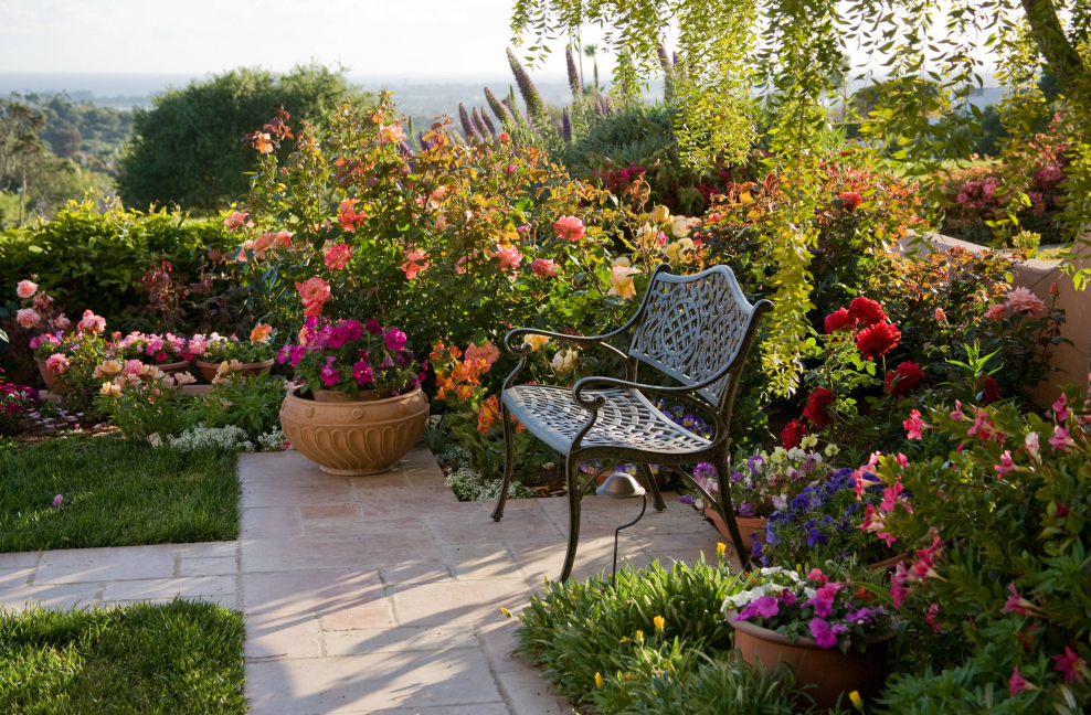 Скамейка в саду ландшафтный дизайн