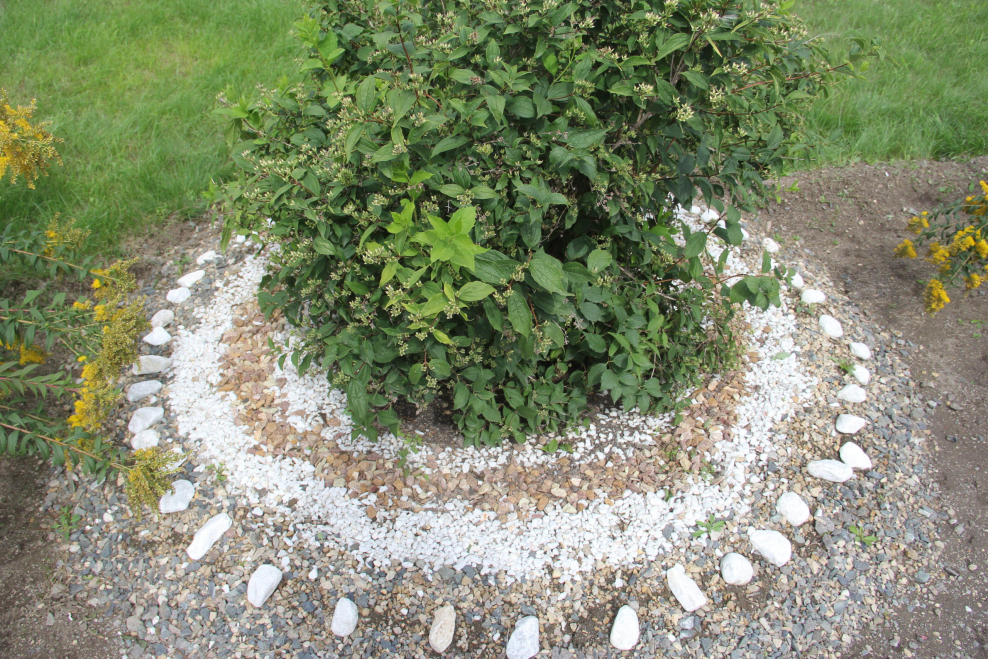 Клумба из дров