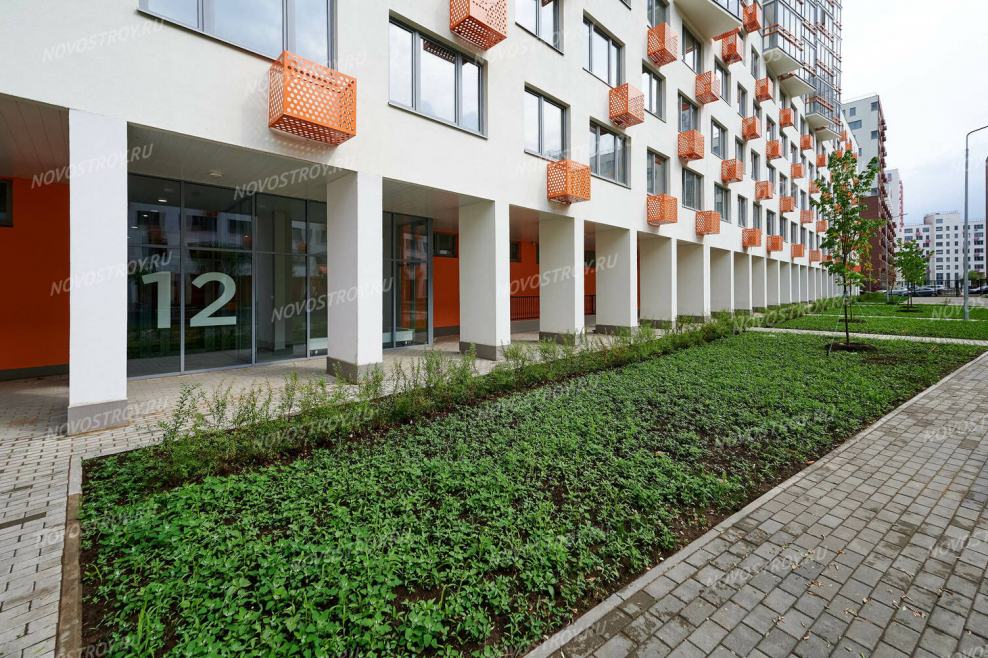 Новокрасково овощи