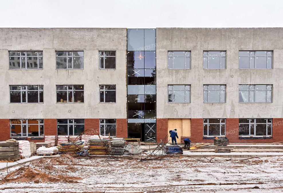 Новокрасково 2020