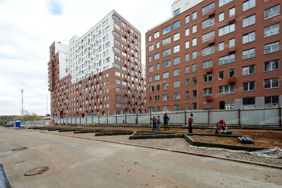 Новокрасково овощи