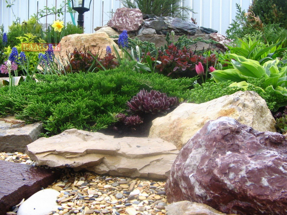 Каменистый рокарий