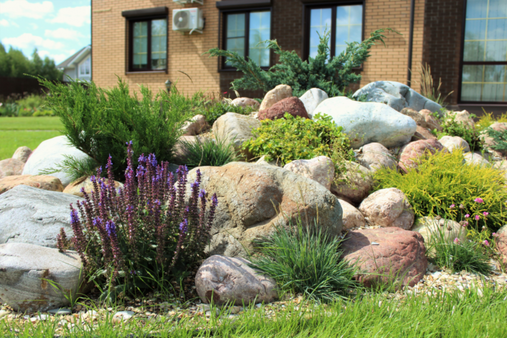 Альпинарий Кантри