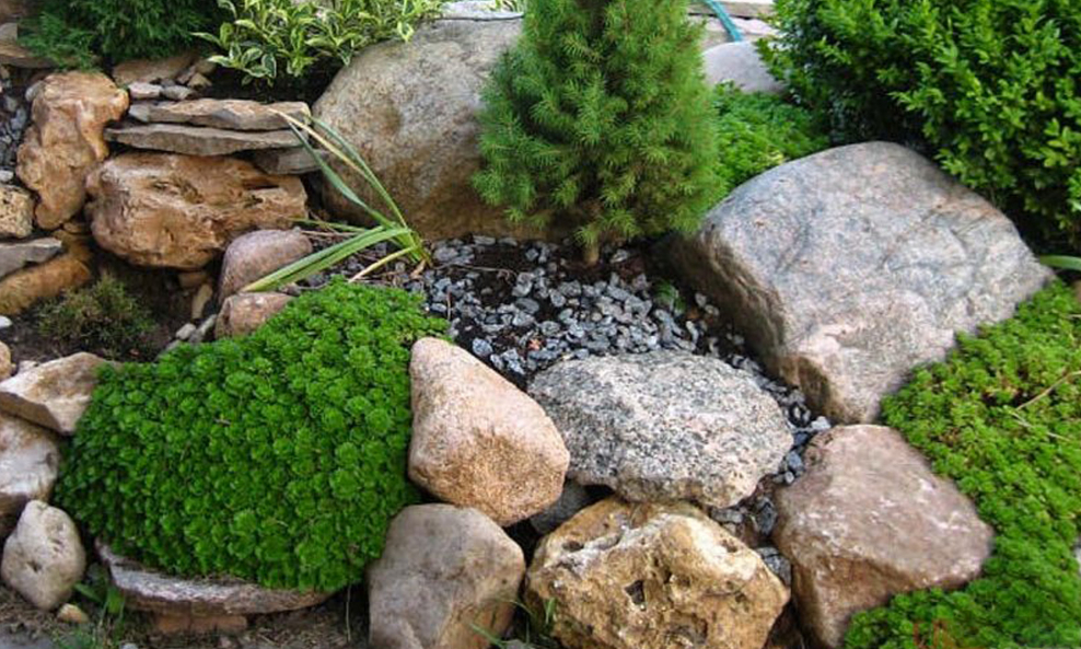 Альпийская горка с елками и камнями