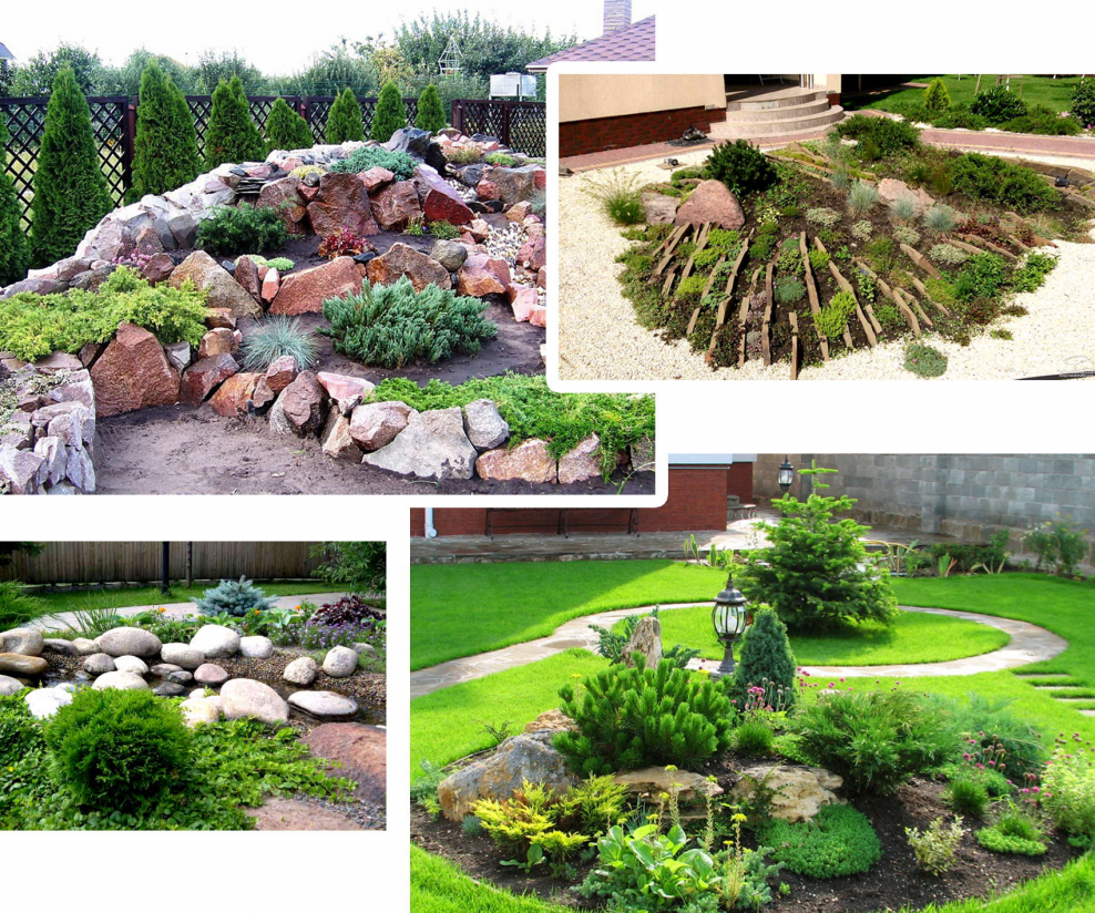 Альпийская горка дендроплан