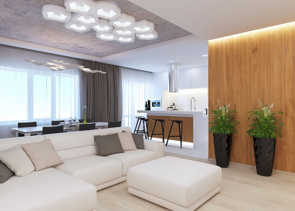 Гостиная в стиле эко Минимализм