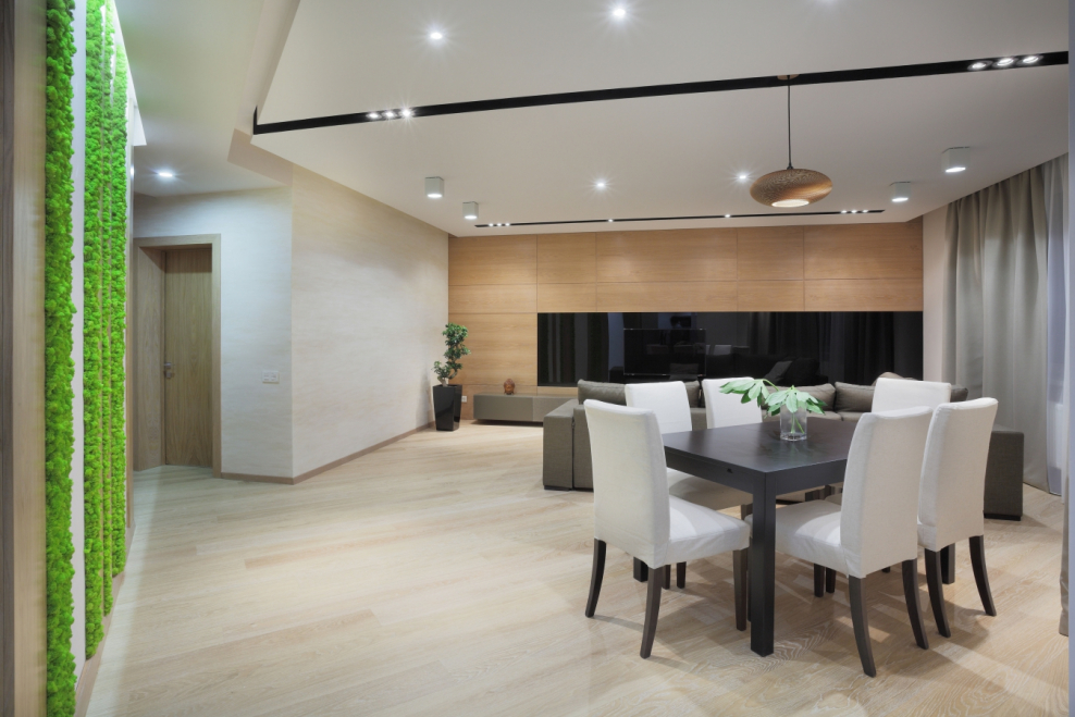 Кухня гостиная Минимализм эко Минимализм