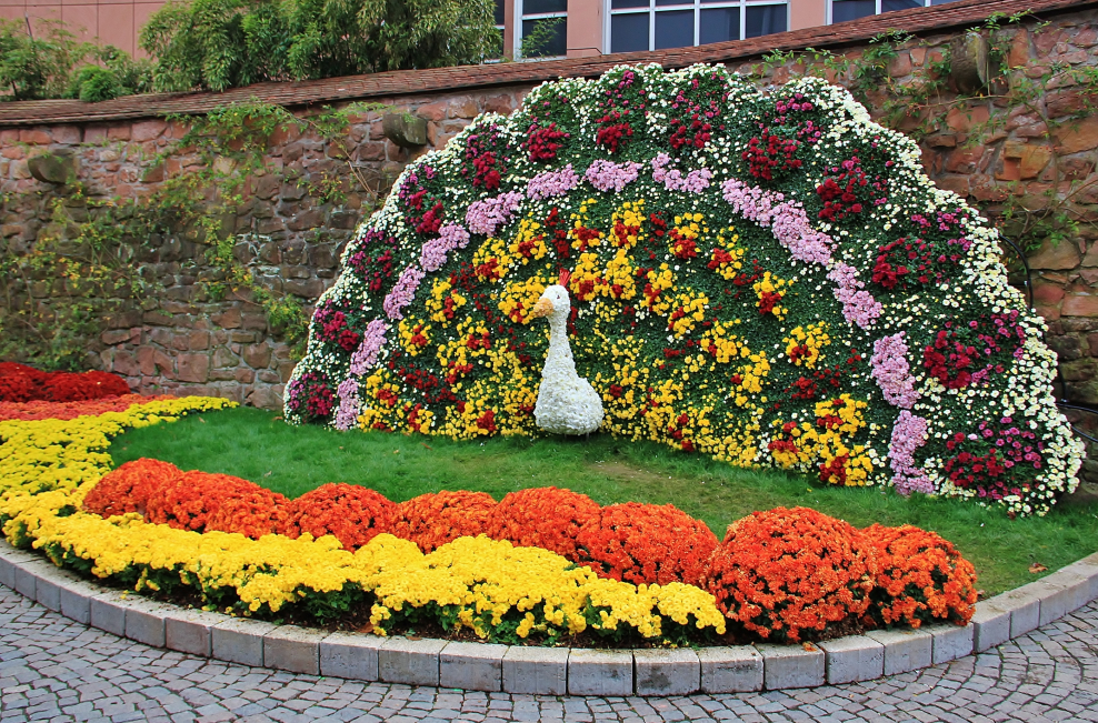 Моноклумба петуния