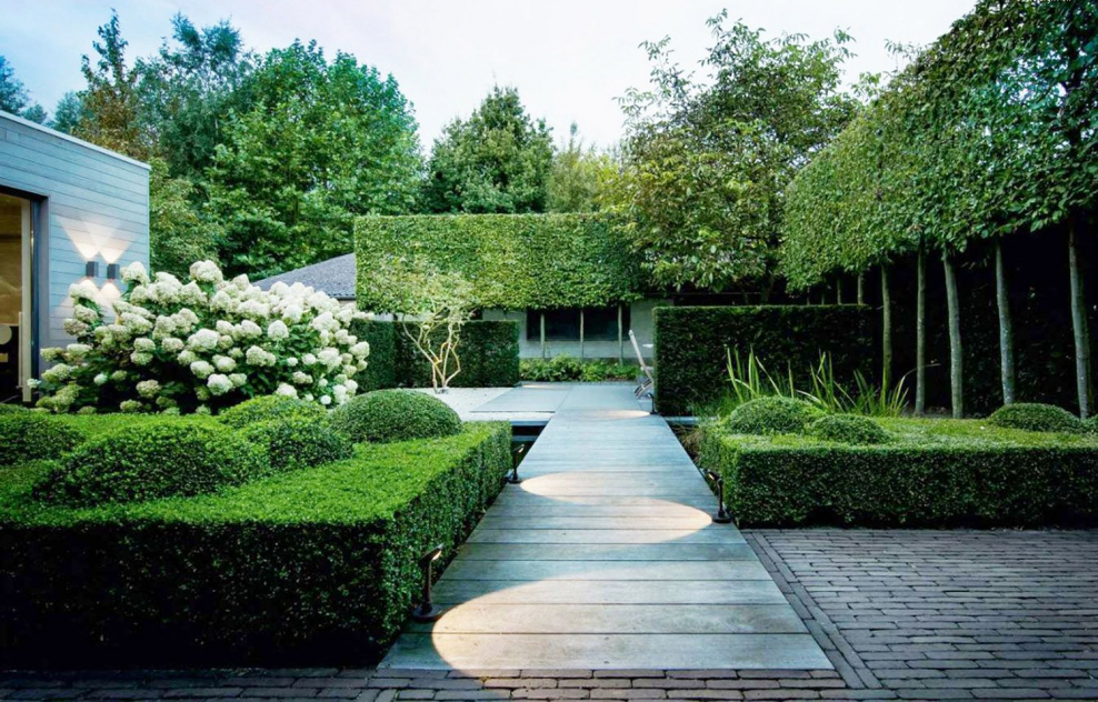 Александр Шупейко ландшафтный архитекто