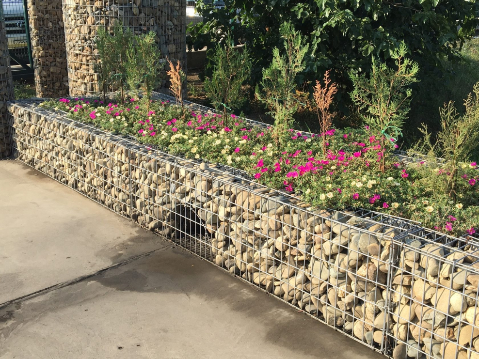Габионы клумбы