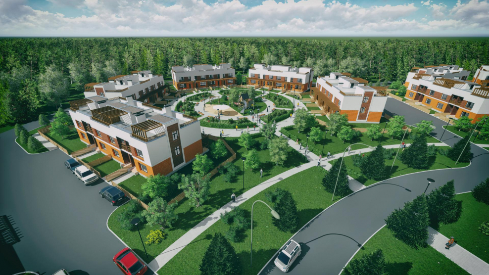 Костино Барский луг