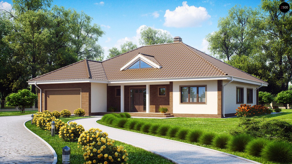 Одноэтажные дом с гаражом z10