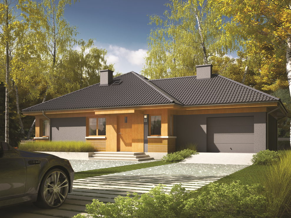 Темно серый одноэтажный дом