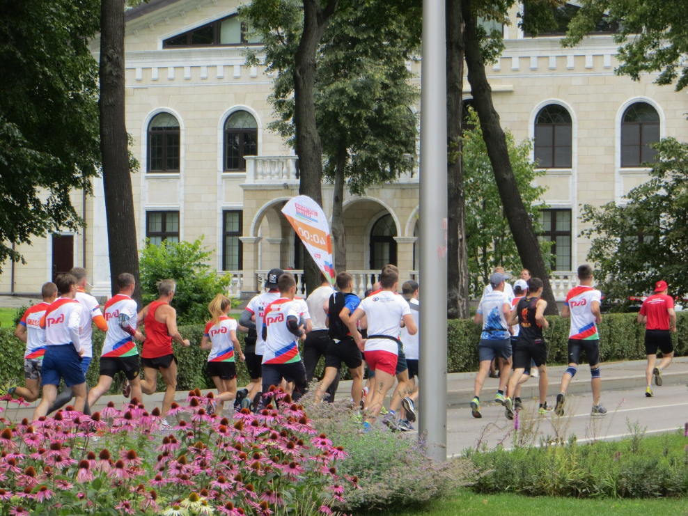 Санкт-Петербург парк 300-летия Санкт-Петербурга яхтенный клуб летом