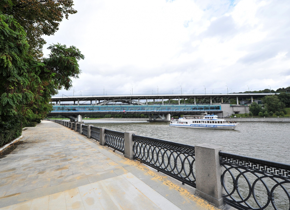 Лучший психотерапевт на Лужнецкой набережной