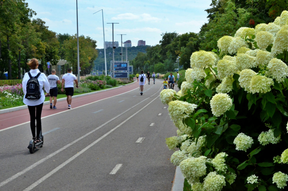 Смотровая площадка на Москва Сити на набережной