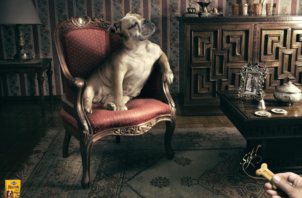 Креативная реклама корма для животных