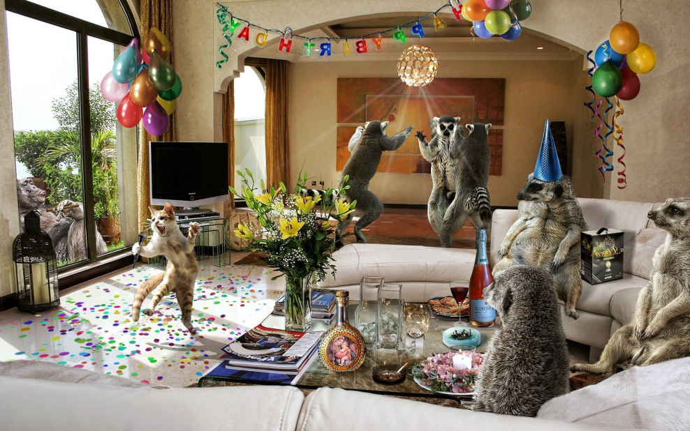 Праздничный кот