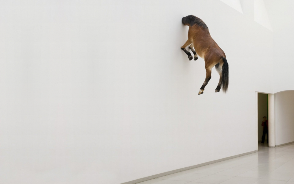 Смешные фотообои на стену