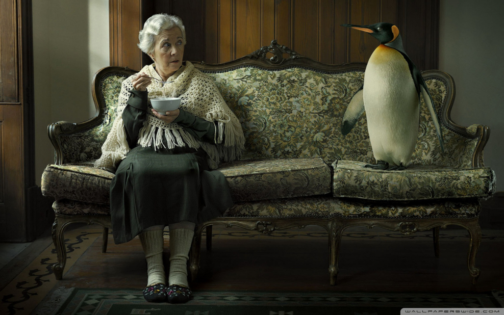 Старушка в кресле