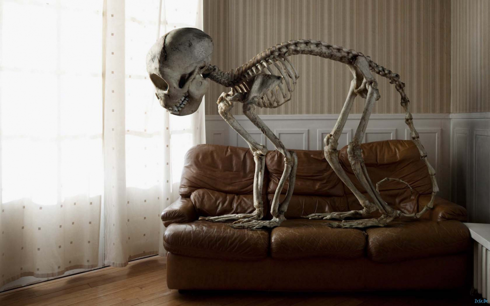 Скелеты на острове прикол