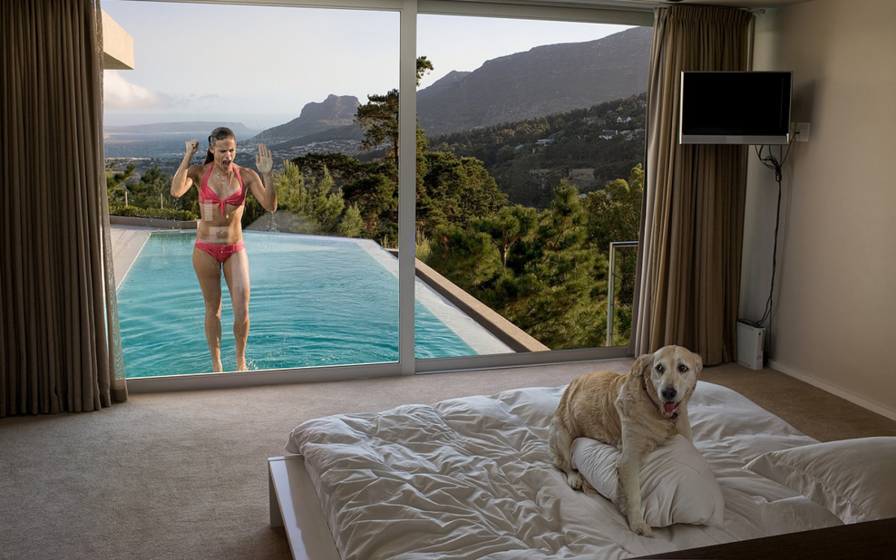 Фотосессия с собакой на кровати