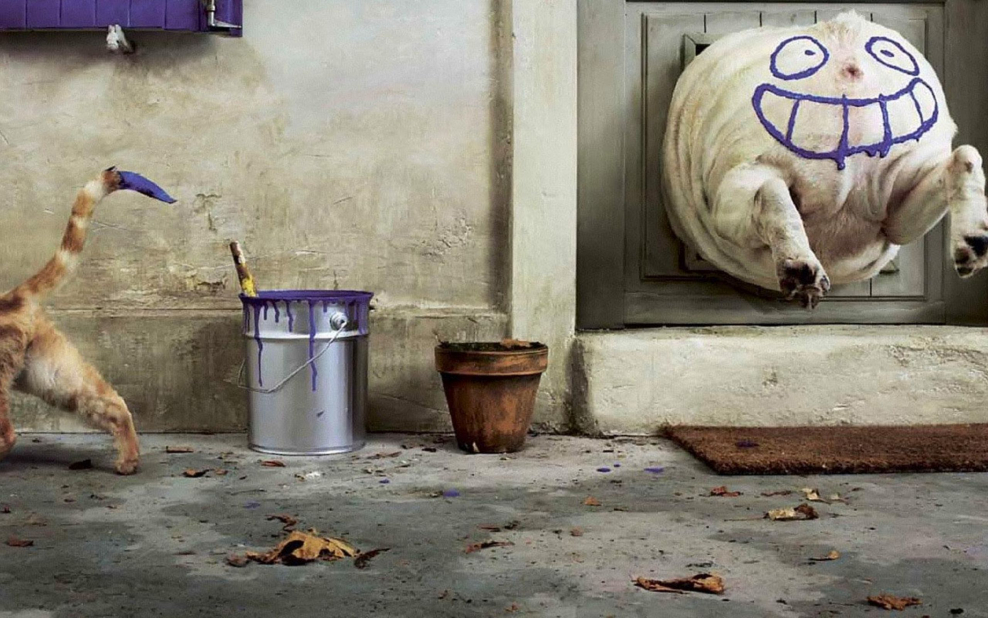 Прикольные смешные обои