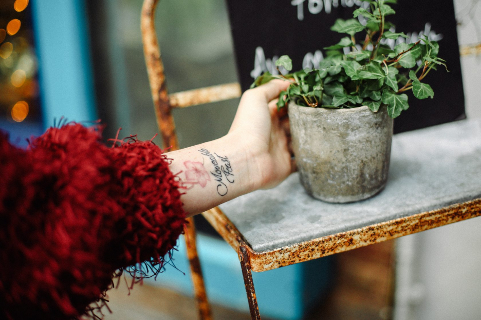 Follow me Мурада Османна