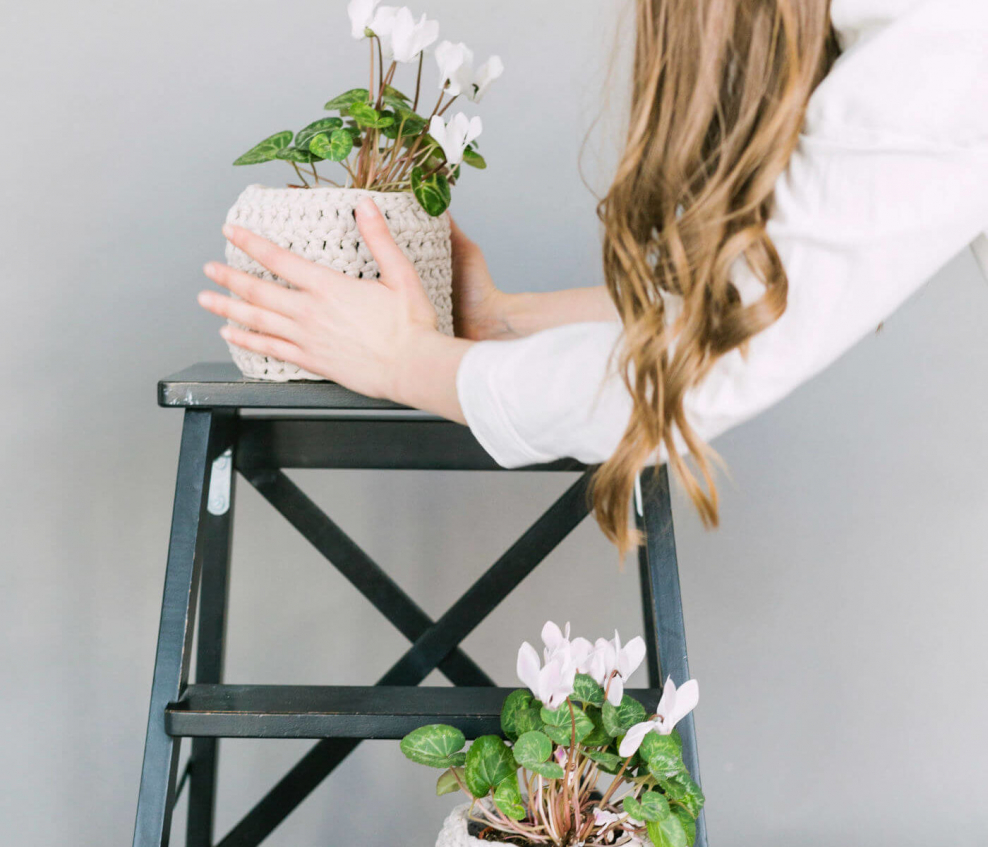 Фото Следуй за мной с машиной