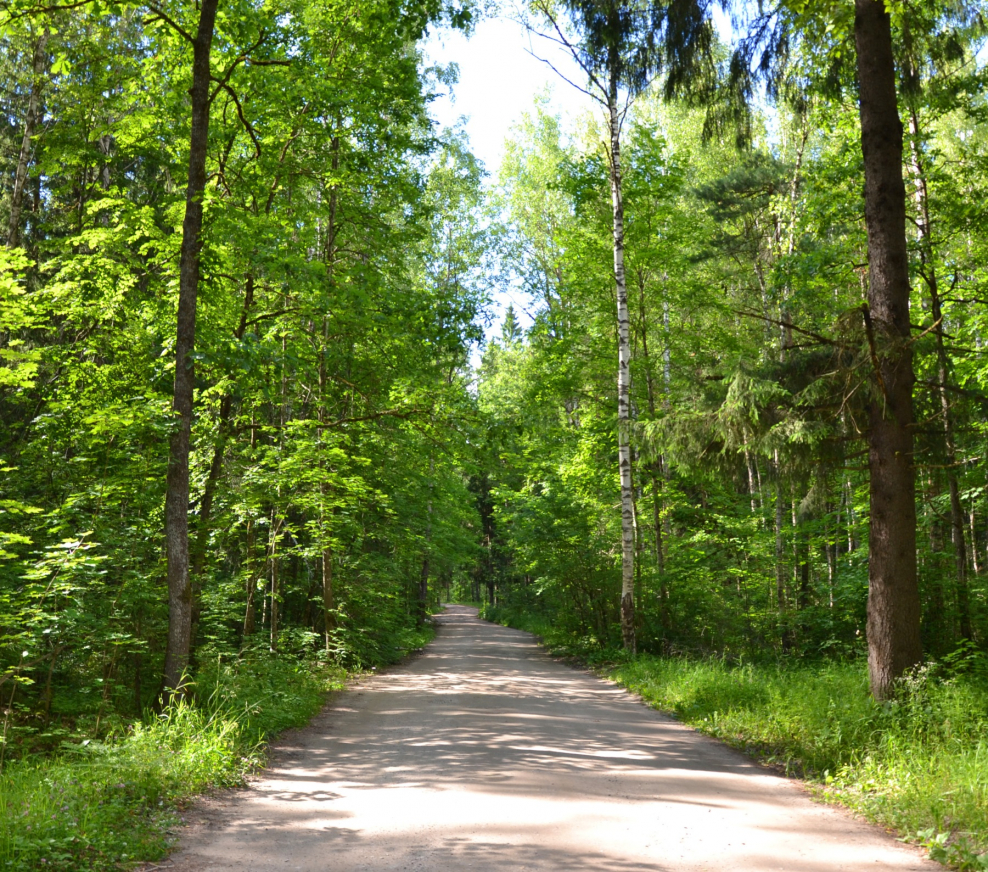 Заповедный парк 1 коттеджный поселок