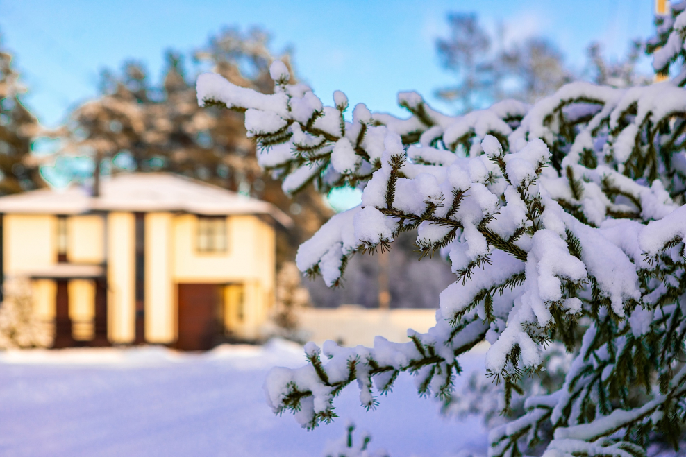 Коттеджный поселок земляника