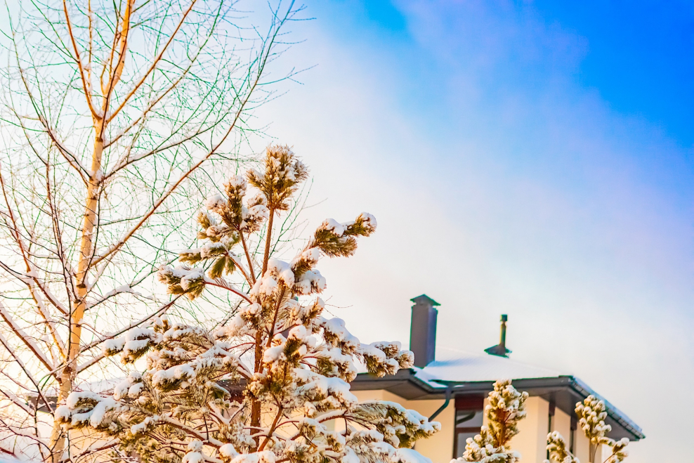 Ильинское шоссе деревня Маслово